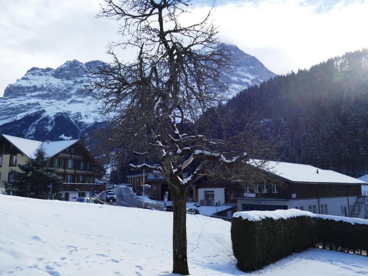 Apartment Chalet Schwendihus-6 By Interhome Grindelwald Eksteriør bilde